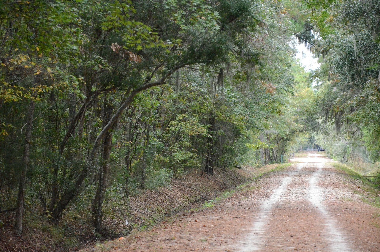 栖霞路，一条路走完南京的秋天与人间